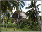 foto Flora e la Fauna alle Seychelles